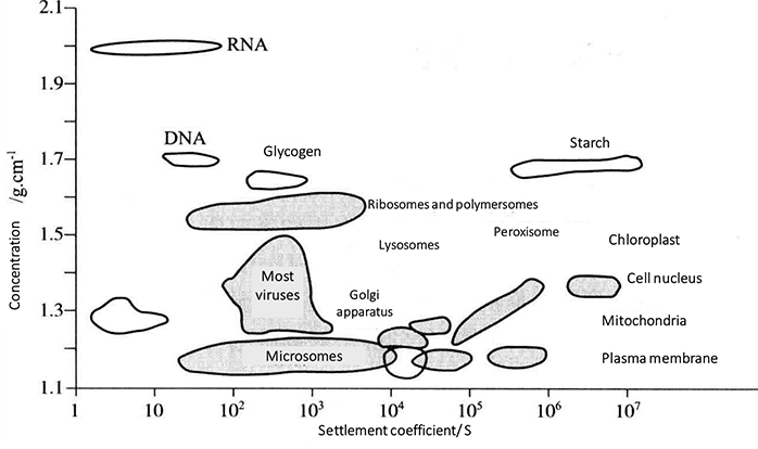 Protocol of Preparation of the Subcellular Organelle Protein Samples